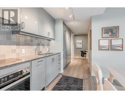 821 - 9 Tecumseth Street, Toronto, ON M5V0S5 Photo 7