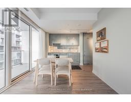 821 - 9 Tecumseth Street, Toronto, ON M5V0S5 Photo 9
