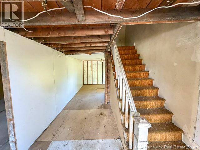 5 Beech Glen Road - 5