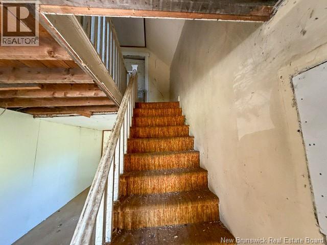 5 Beech Glen Road - 8