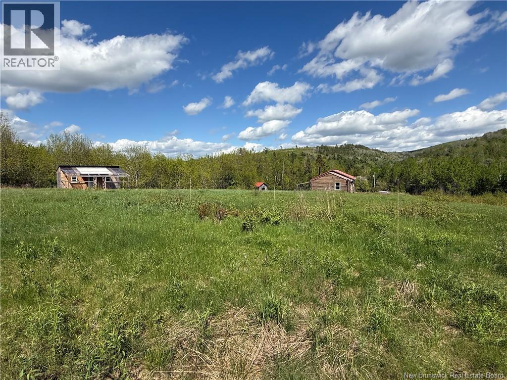 236 Mill Brook Road - 22