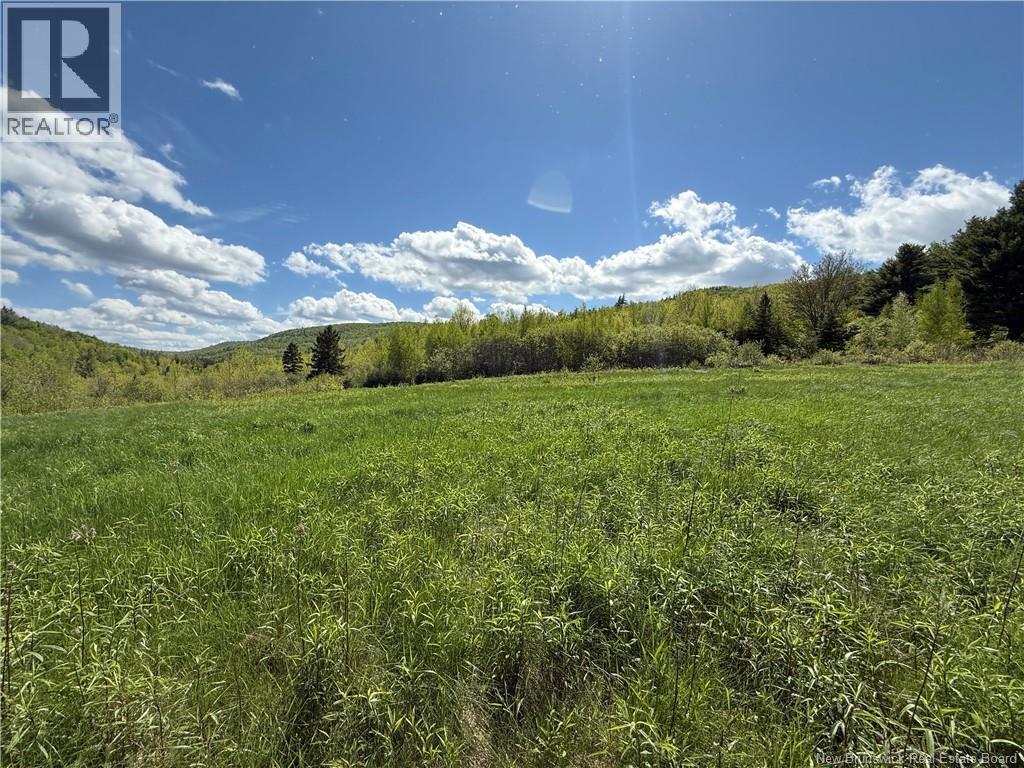 236 Mill Brook Road - 26