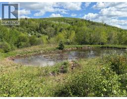 236 Mill Brook Road, Mill Brook, NB E4E3V8 Photo 21