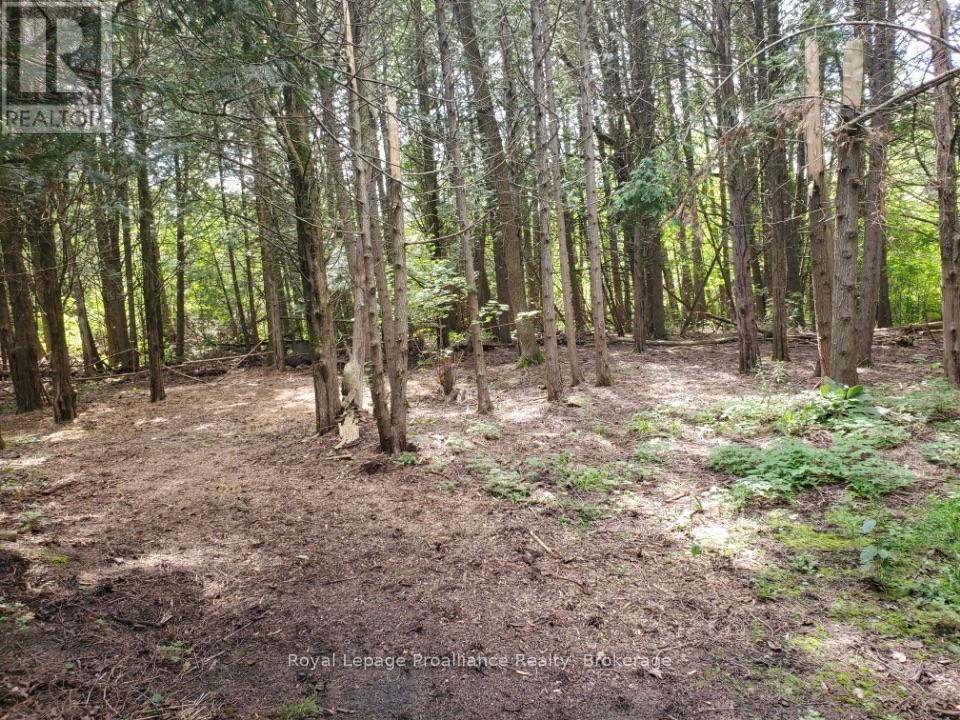 3526 HARMONY ROAD - Image 49