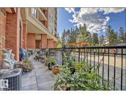 #108 10108 125 St Nw, Edmonton, AB T5N4B6 Photo 41