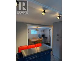 149 Birch Street, Brooks, AB T1R1H8 Photo 11