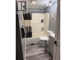 149 Birch Street, Brooks, AB T1R1H8 Photo 14