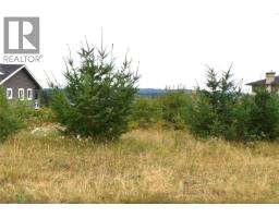 648 Betts Blvd, Port Mcneill, BC V0N2R0 Photo 8