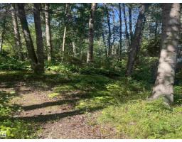 #1 53532 Rge Road 55, Rural Parkland County, AB T0E0V0 Photo 24