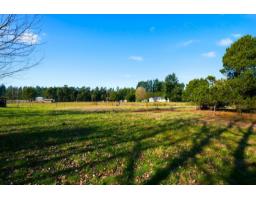 3907 212 Street, Langley, BC V3A9L1 Photo 6