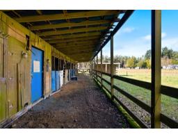 3907 212 Street, Langley, BC V3A9L1 Photo 34