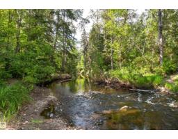 #301 9505 77 Av Nw, Edmonton, AB T6C0M3 Photo 62