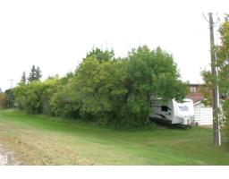 5219 52 Ave, Viking, AB T0B4N0 Photo 47