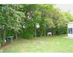 5219 52 Ave, Viking, AB T0B4N0 Photo 48