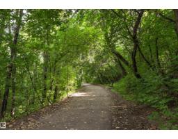 #301 9505 77 Av Nw, Edmonton, AB T6C0M3 Photo 61