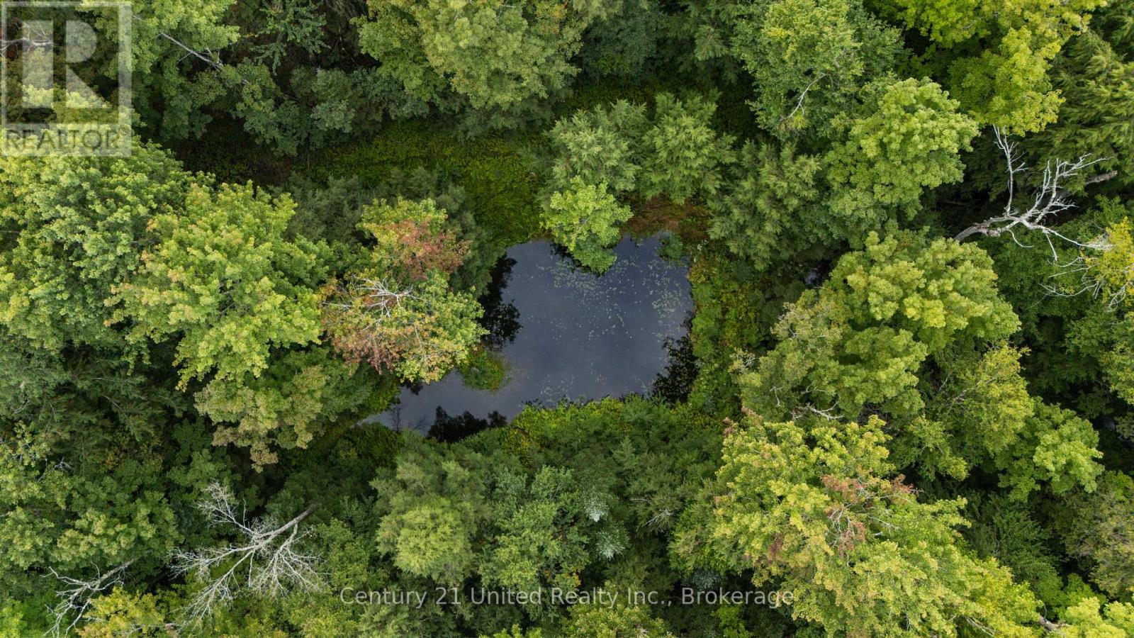 456 COUNTY ROAD 620, North Kawartha — photo 5
