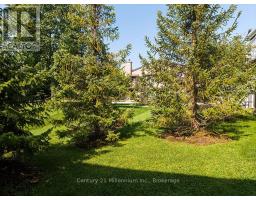 68 - 19 Dawson Drive, Collingwood, ON L9Y5B4 Photo 13