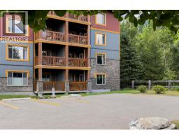 120, 300 Palliser Lane, Canmore, AB T1W0H5 Photo 29