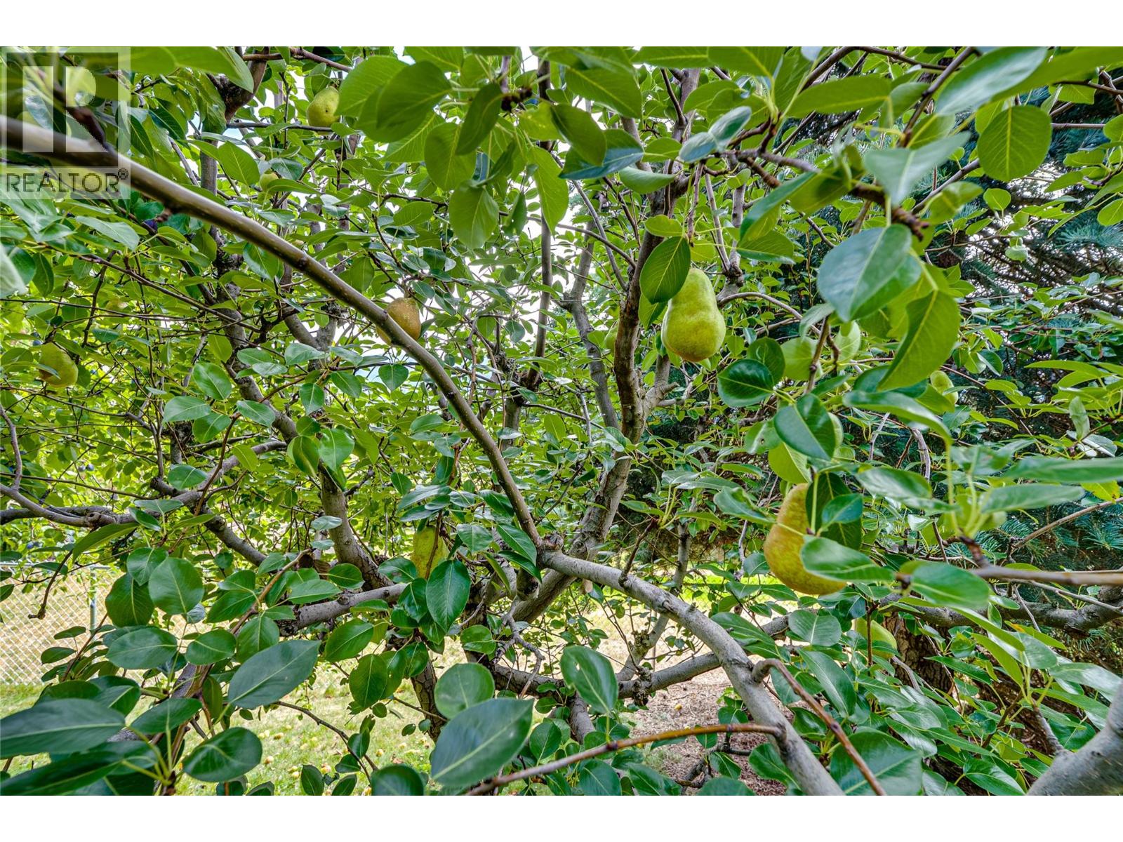 6656 Goose Lake Road, Vernon