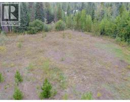 12925 Denis Road, Telkwa, BC V0J2X3 Photo 35