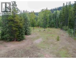 12925 Denis Road, Telkwa, BC V0J2X3 Photo 37