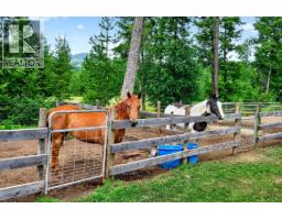 230 Sunshine Valley Road, Clearwater, BC V0E1N2 Photo 86