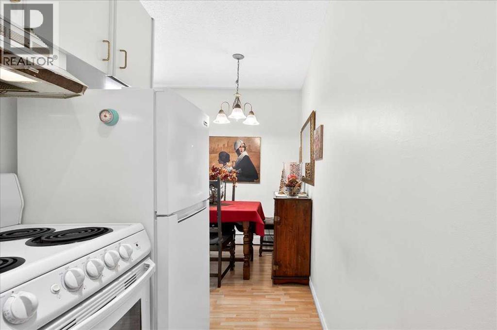 #5 916 3 Avenue NW - 17