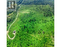 Lot 2 Barber Road, Clearwater, BC V0E1N1 Photo 9