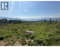 Lot 2 Barber Road, Clearwater, BC V0E1N1 Photo 18