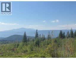 Lot 2 Barber Road, Clearwater, BC V0E1N1 Photo 17