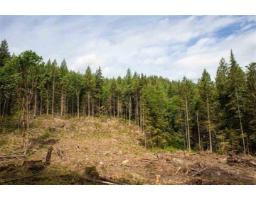 11533 Wilson Street, Mission, BC V4S1M1 Photo 8