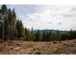 11533 Wilson Street, Mission, BC V4S1M1 Photo 12