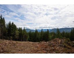 11533 Wilson Street, Mission, BC V4S1M1 Photo 9