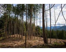 11533 Wilson Street, Mission, BC V4S1M1 Photo 10