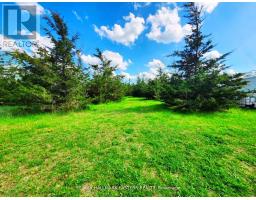 2098 13th Line E, Trent Hills, ON K0K2M0 Photo 11