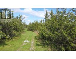 2098 13th Line E, Trent Hills, ON K0K2M0 Photo 8