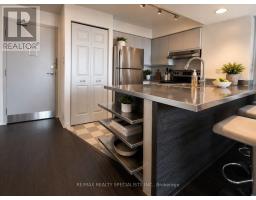 1120 - 801 King Street W, Toronto, ON M5V3C9 Photo 6