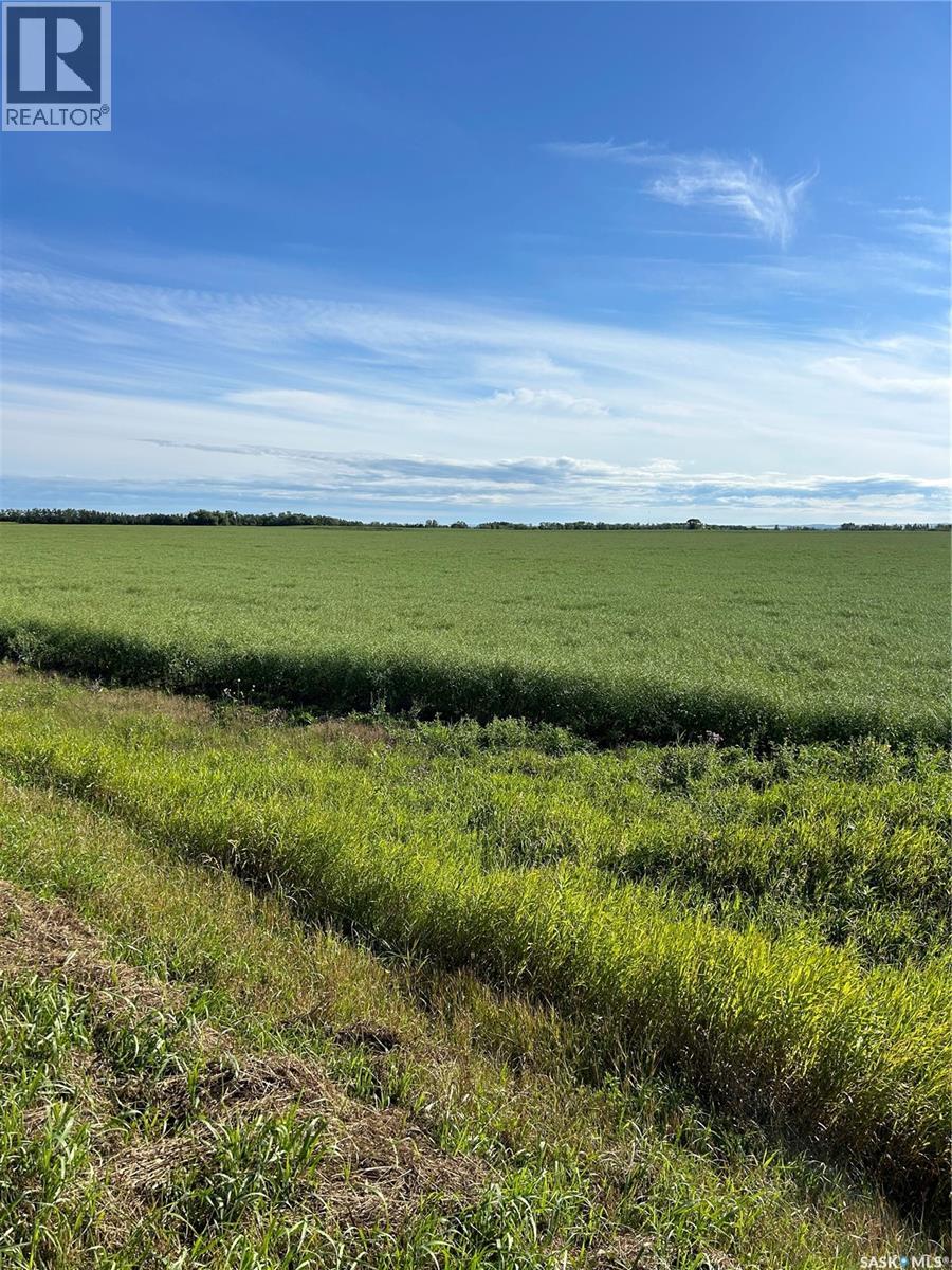 Strelioff Farm Land, Keys Rm No. 303 Saskatchewan — photo 2