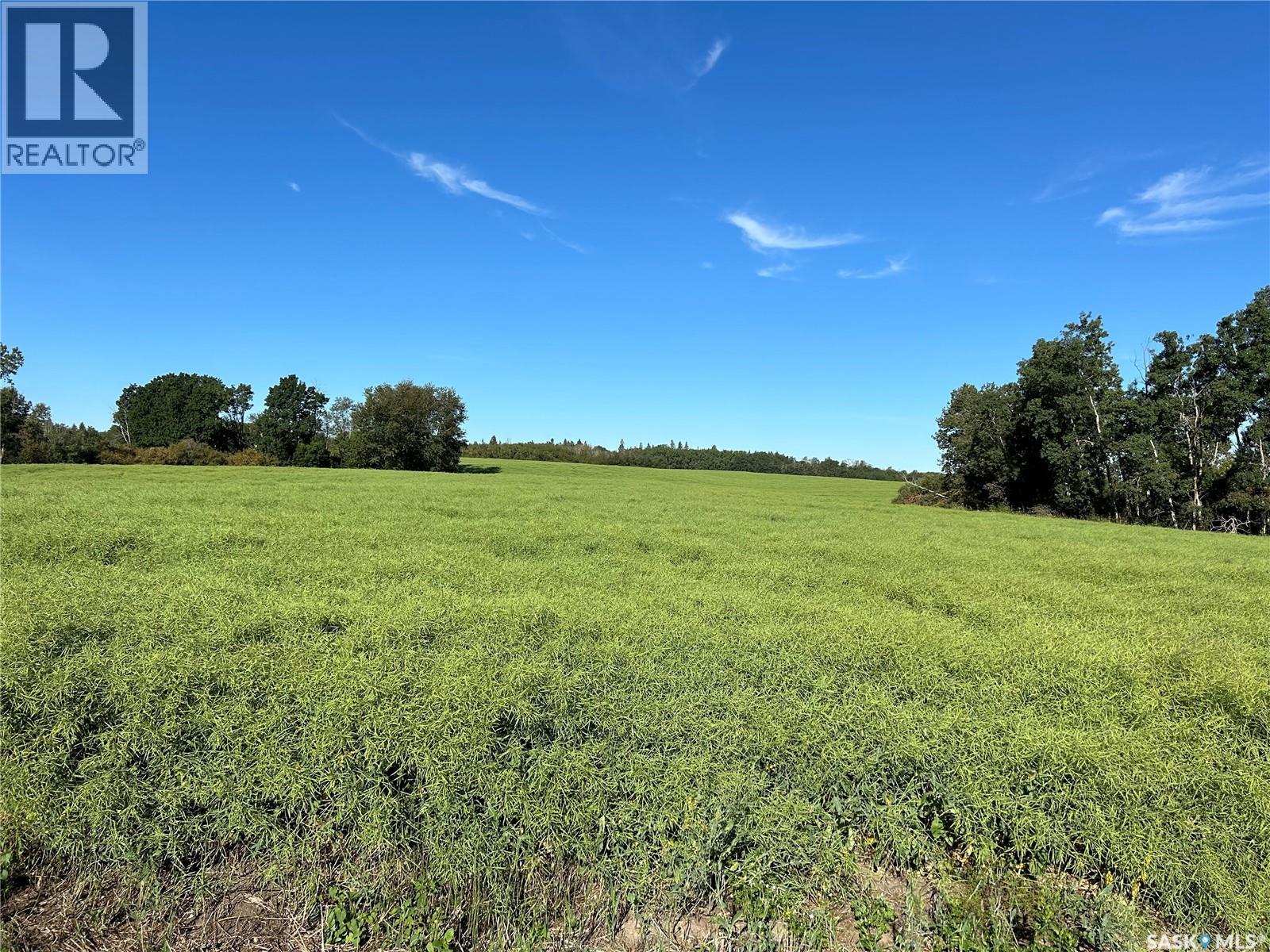 Strelioff Farm Land, Keys Rm No. 303 Saskatchewan — photo 4