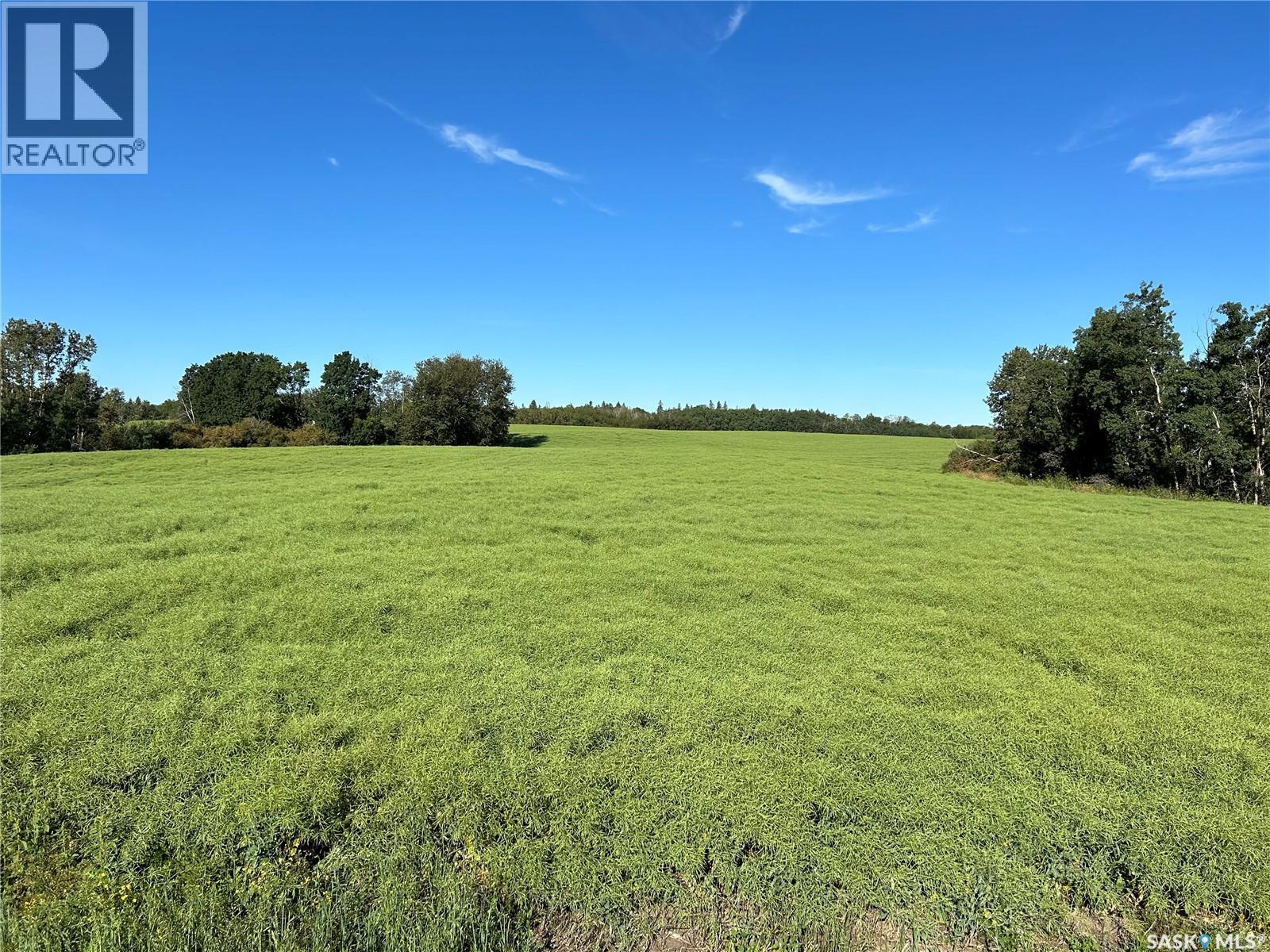 Strelioff Farm Land, Keys Rm No. 303 Saskatchewan — photo 5