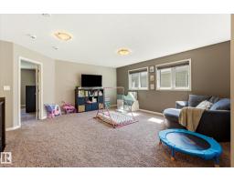 913 Goshawk Pt Nw, Edmonton, AB T5S0H6 Photo 20