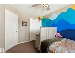 913 Goshawk Pt Nw, Edmonton, AB T5S0H6 Photo 28
