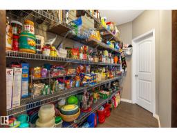 Bonus Room - 913 Goshawk Pt Nw, Edmonton, AB T5S0H6 Photo 8
