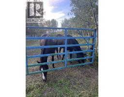 12583 267 Road, Fort St  John, BC V1J8J7 Photo 38
