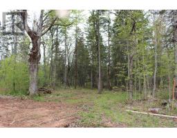 17 Glades Run, Wentworth, NS B0M1Z0 Photo 17