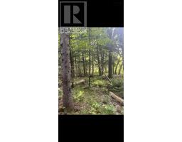 17 Glades Run, Wentworth, NS B0M1Z0 Photo 21