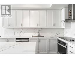 Laundry room - Th102 - 9618 Yonge Street, Richmond Hill, ON L4C0X5 Photo 7