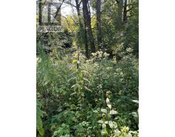 5218 Hillview Drive, Hamilton Township, ON K0K2H0 Photo 12