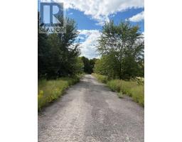 5218 Hillview Drive, Hamilton Township, ON K0K2H0 Photo 16
