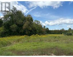5218 Hillview Drive, Hamilton Township, ON K0K2H0 Photo 17